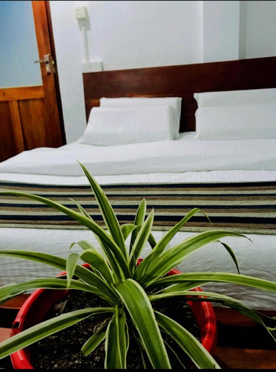 Minthu Homestay Ella Exterior foto